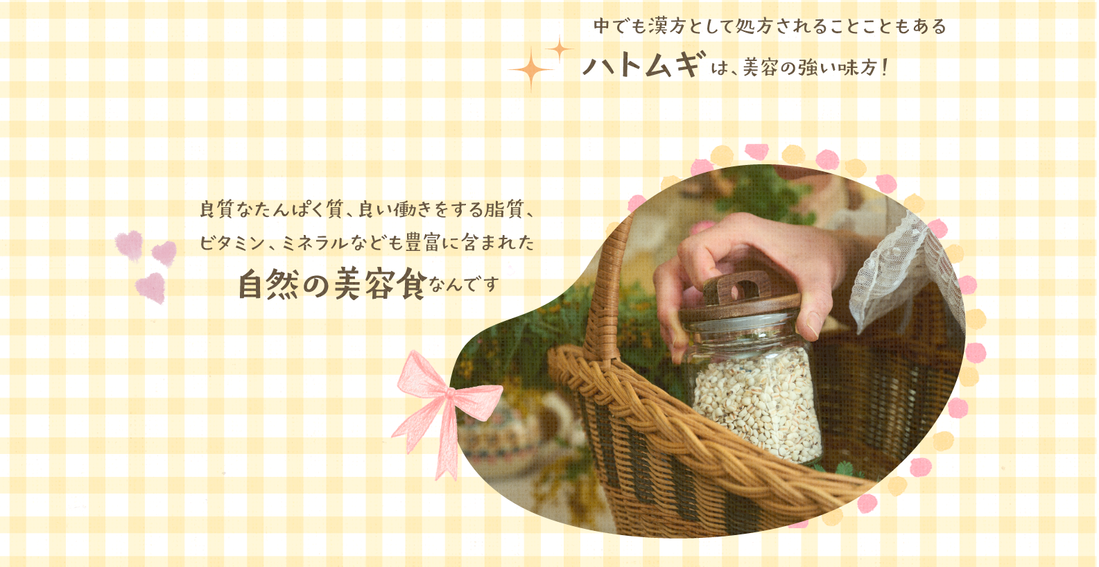 漢方としても使われるハトムギは美容の強い味方